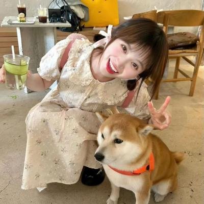 人之岛海报