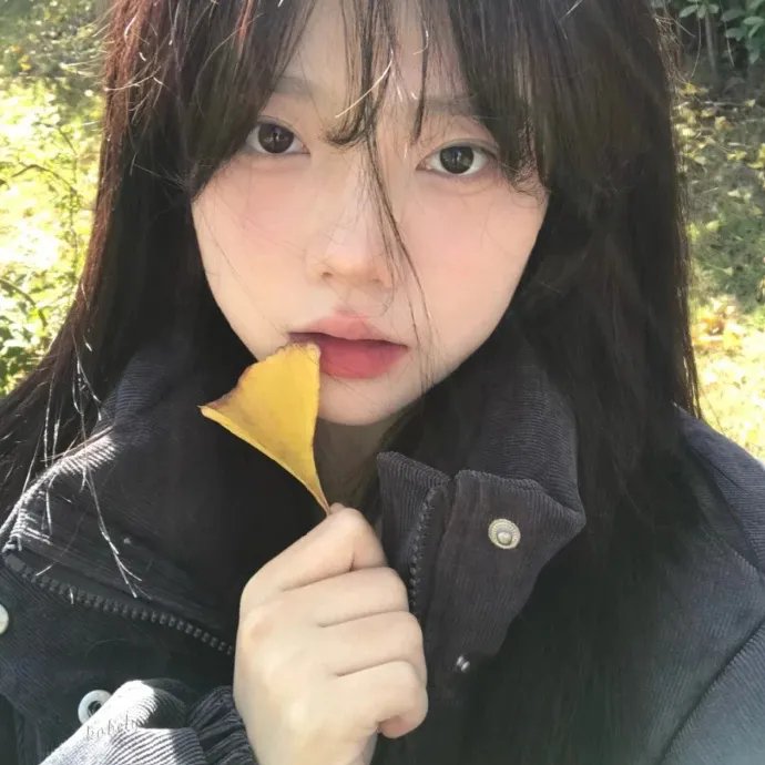 练恋舞海报