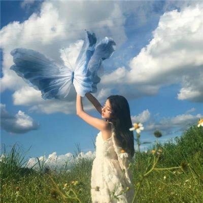 一只叫钱的狗海报